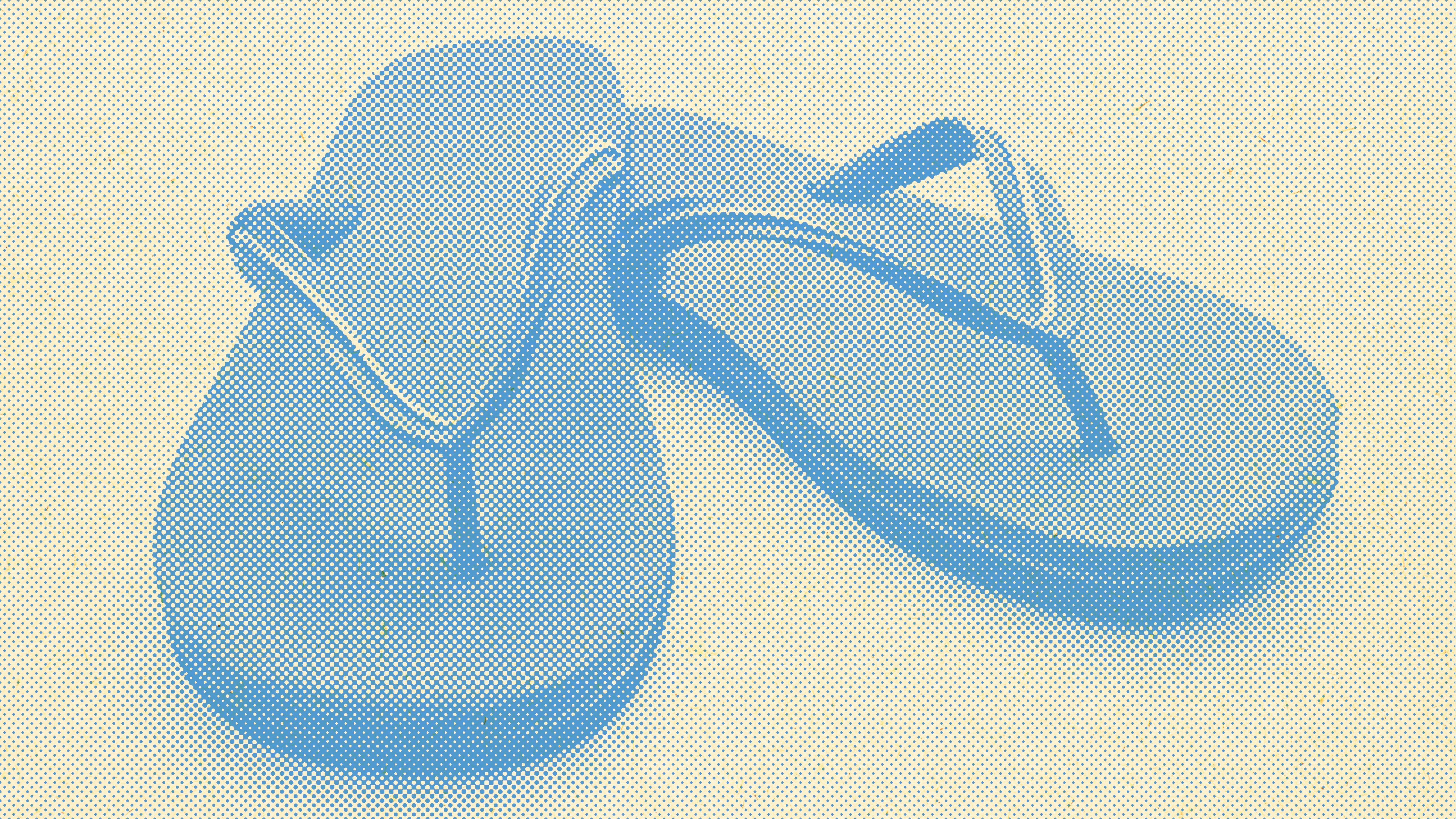 dollar flip flops